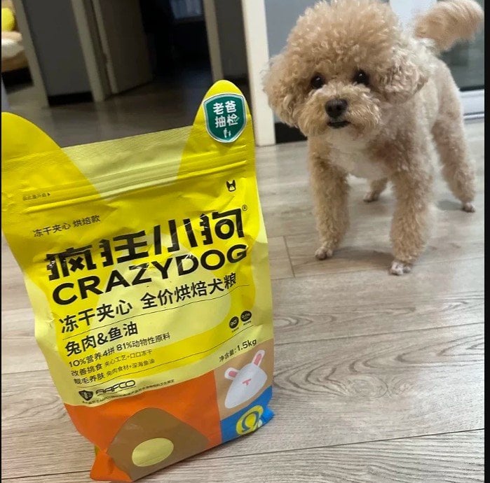 Köpek Maması Dolumu
