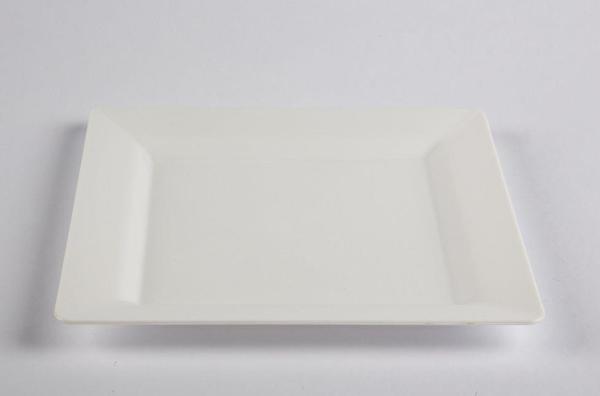 Plastik Kare Tabak 22X22 Cm Beyaz Rubikap Pl.S22 10 Adet